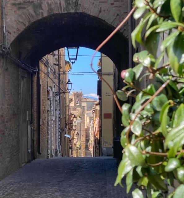 Apartamento La Casa Del Gelsomino Acquaviva Picena Exterior foto