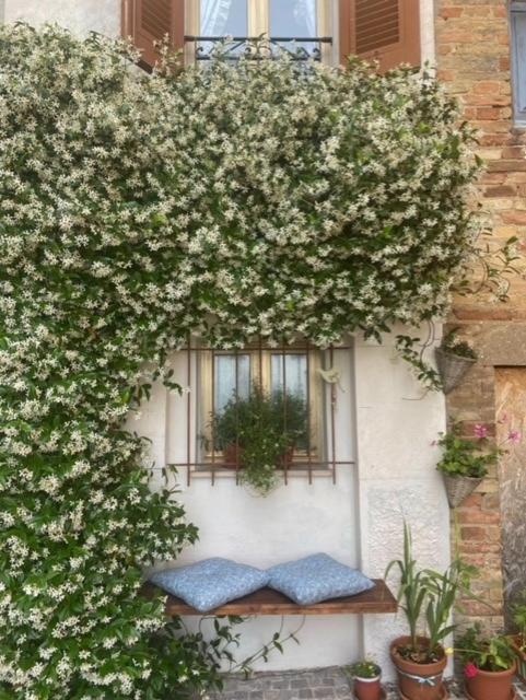 Apartamento La Casa Del Gelsomino Acquaviva Picena Exterior foto